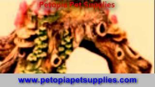 pet stores, dog pet stores, pet supplies wholesale, pet meds
