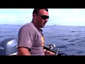 Rod almost gets pulled out of Anglers hands! Big Kingfish!!!