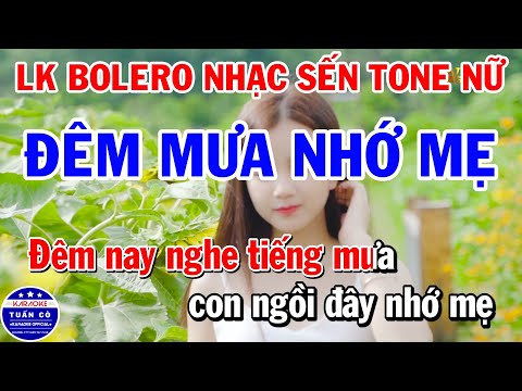 Karaoke Liên Khúc Nhạc Sống Trữ Tình | Đêm Mưa Nhớ Mẹ | Đường Tím Bằng Lăng
