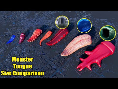 Monster Tongue Size Comparison 😛👹 | Longest & Deadliest Tongues!