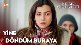 Kızlar Perişan Halde... Kırgın Çiçekler 31. Bölüm