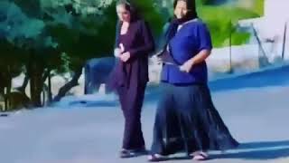 Xalxin Evi Seçilmiş Vine