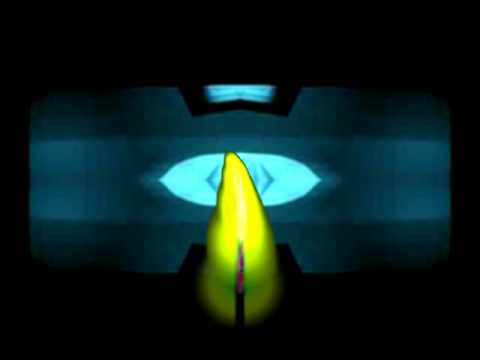 Larsen Video