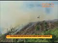 image Puluhan Hektar Hutan Dan Kebun Sawit Ludes Terbakar