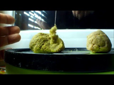 прикормка херабуна прикормка херабуна