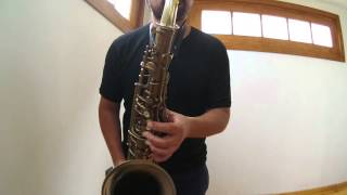 saxo tenor orsi milano