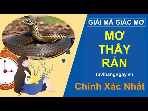 Mơ Thấy Rắn ❤️ Giải Mã Giấc Mơ Rắn Điềm Gì, Đánh Con Gì 🐍 Chính Xác 100% ✅ Chiêm Bao Nằm Mơ Thấy Rắn