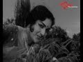 Aatma Gowravam Movie Songs |  Preminchande | ANR | Kanchana | TeluguOne