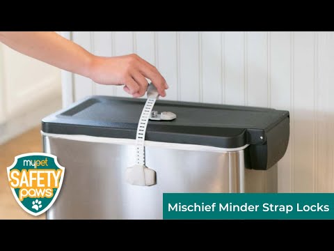 North States MyPet Safety Paws® Mischief Minder Strap Locks North States MyPet Safety Paws® Mischief Minder Strap Locks