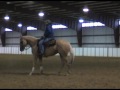 Electralux - Reining Mare For Sale