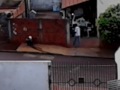 Imagen del vídeo Beebo cagão da esquina