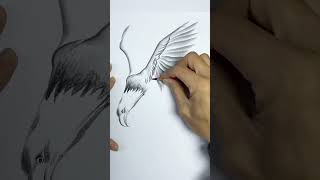 Eagle Art Pencil Sketch Abs Art