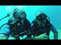 Bull Shark Dive Playa Del Carmen