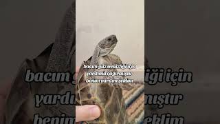 Bacım Güz Temizliğine Çağırmıştır. O Sırada Ben.