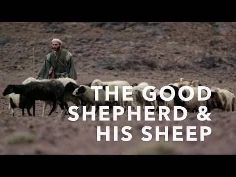 Lectio Divina #8: The Good Shepherd