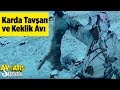 AV VE ATIŞ SANATI KARDA TAVŞAN VE KEKLİK AVI