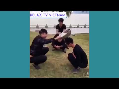 Top clip hài hước bá đạo nhất 2017 phần 11 - Xem đi xem lại vẫn buồn cười - Try not to la news SPR