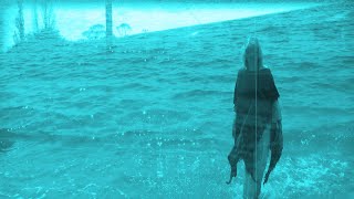 Aria Stone - The Wave