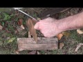 AA Forge Bushcrafter Flat Grind Knife Test and Review, by Equip 2 Endure