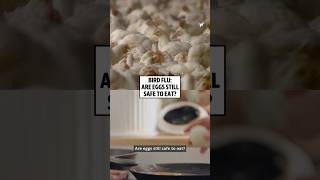Bird Flu Are Eggs Still Safe To Eat?