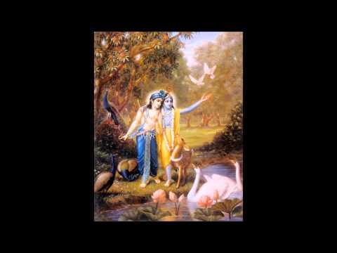 shree krishna sharanam mamah