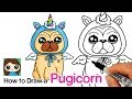 How to Draw a Pugicorn Unipug Pug Unicorn