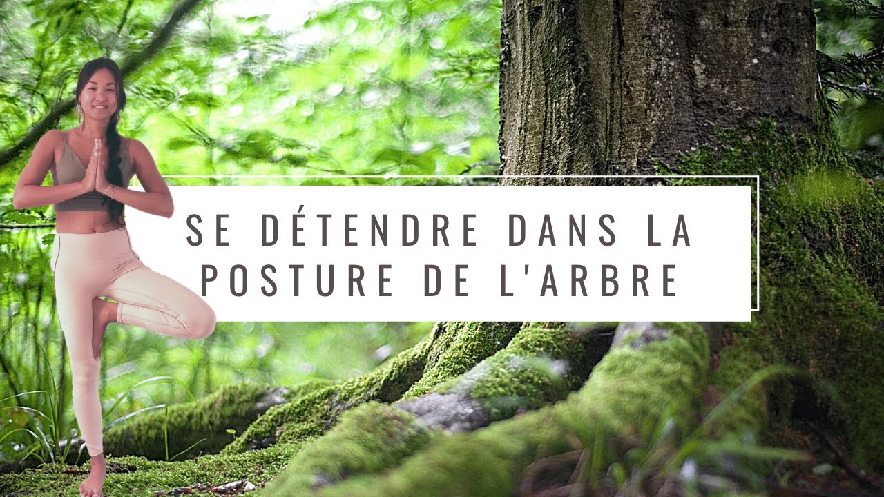Toutes les vidéos