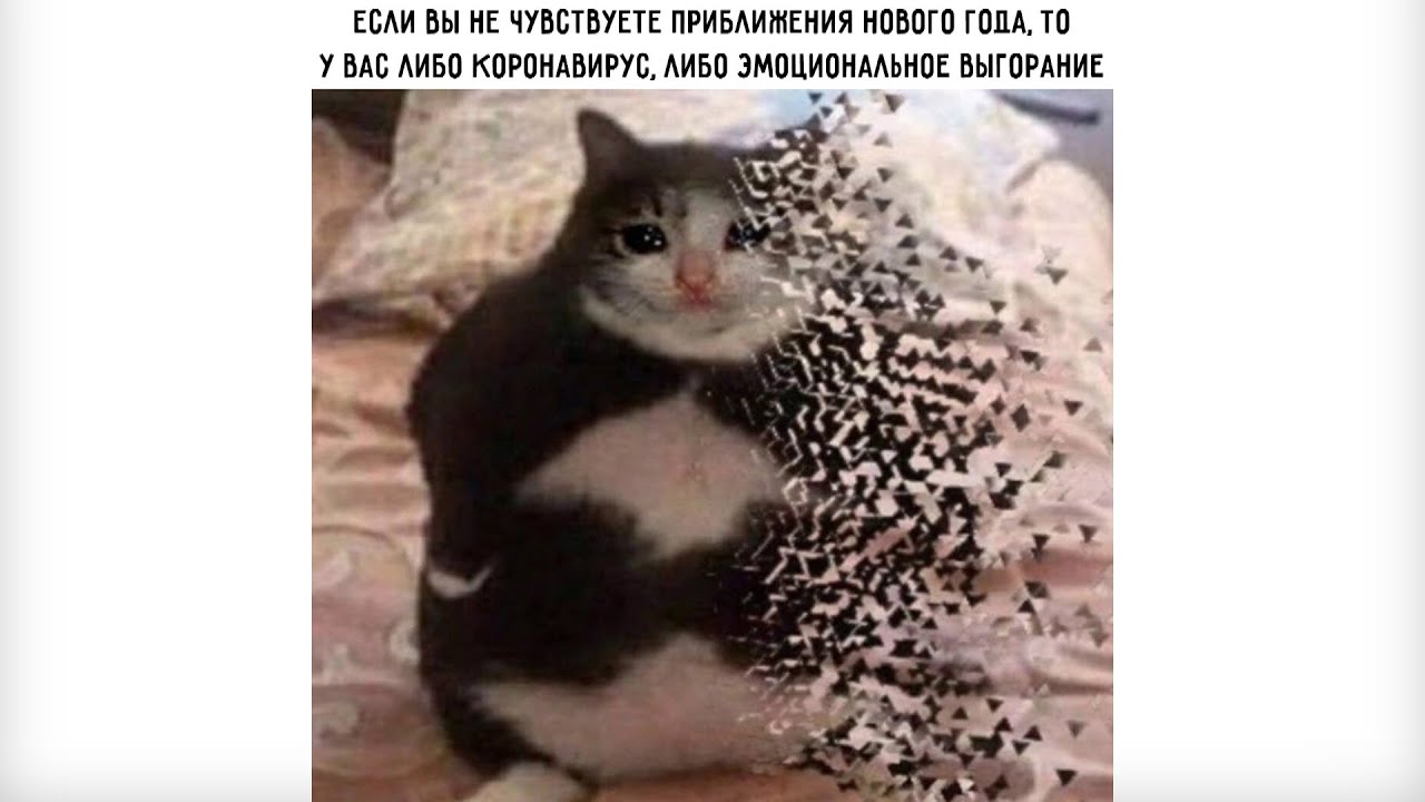 Куда ты пропадаешь мем