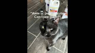 Rest In Peace Caul
