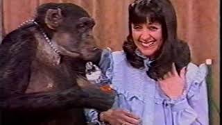 The Mike Walsh Show Years Inc Peter Otoole, Brooke Shields, George Burns, Bette Midler