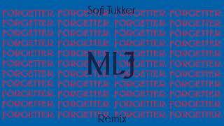 Mr Little Jeans - Forgetter (Sofi Tukker Remix) [Audio]