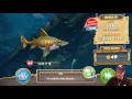 Hungry Shark World Bikini Girl Search I M A Noob Hungry Shark World Bikini Girl Search I M A Noob