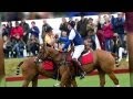Prince Harry Competes Against His Brother William at Charity Polo Match – Splash News