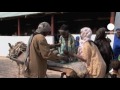Corne de l'Afrique : urgence alimentaire