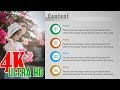 Thiết kế mẫu mục lục chuyên nghiệp với Powerpoint - create a table of contents in powerpoint