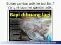 Anti Zina Fakta Pembuka Hati images Anti Zina Fakta Pembuka Hati