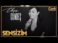 Ebru Gündeş - Sensizim (Canlı Performans)