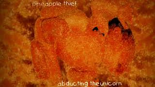 Watch Pineapple Thief Drain video