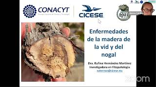 Enfermedades de la madera de la vid y del nogal - Dra. Rufina Hernández