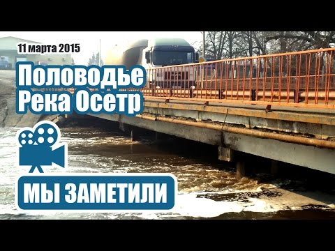 осетр весной осетр весной