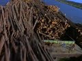 Shocking Climate Change Video - Tropicana Rainforest - Help Save The Amazon Rainforest