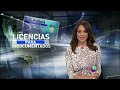 Gobernador de California aprobaría licencias a indocumentados