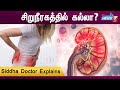சிறுநீரகத்தில் கல்லா? |Kidney Stone |Siddha Doctor Kamaraj explains