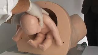 Simulated Breech Birth 2012