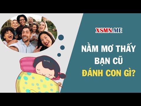Nằm mơ thấy bạn cũ đánh con gì? Giải mã giấc mơ thấy bạn cũ