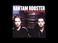 Bantam Rooster New Life.wmv