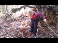 A Boy S Journey Search For Perfect Walking Stick A Boy S Journey Search For Perfect Walking Stick