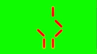 The Predator Alphabet Language - Green Screen Animation