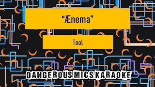 Aenema -- Tool Karaoke Instrumental