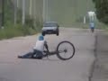 Ubriaco in bicicletta da vedere tutto il video fino in fondo
